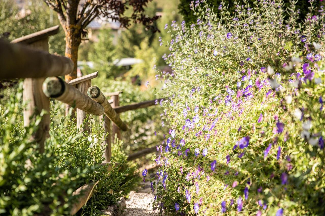 Belvedere Dolomites Flower Hotel Моэна Экстерьер фото
