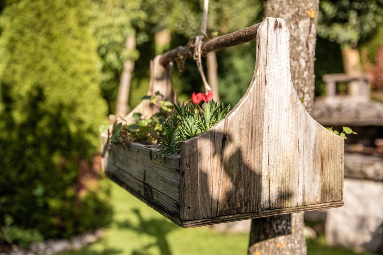 Belvedere Dolomites Flower Hotel Моэна Экстерьер фото